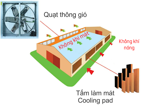 Top 3 mẫu quạt thông gió kết hợp làm mát nhà xưởng Tomexco