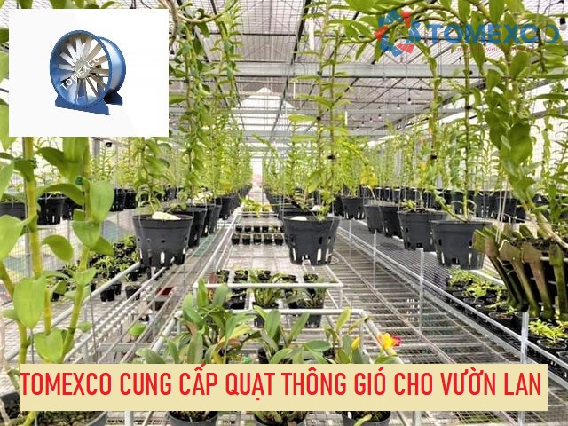 Giới thiệu các sản phẩm quạt thông gió cho vườn lan