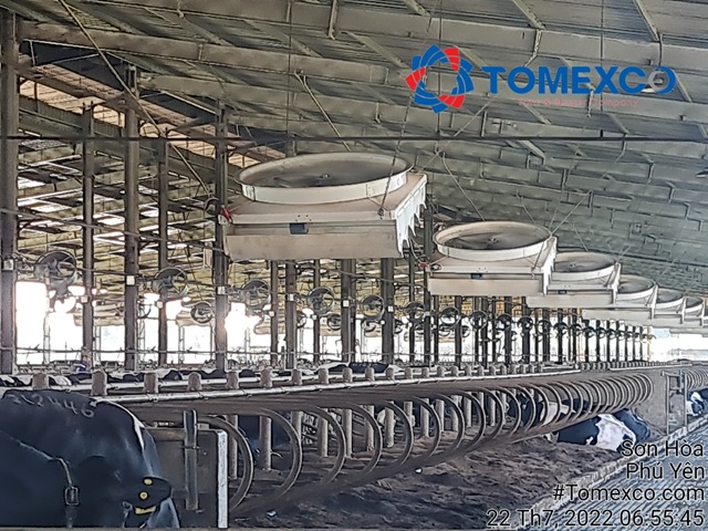 Sự hợp tác lâu năm giữa Tomexco và TH True Milk