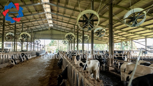 Sự hợp tác lâu năm giữa Tomexco và TH True Milk