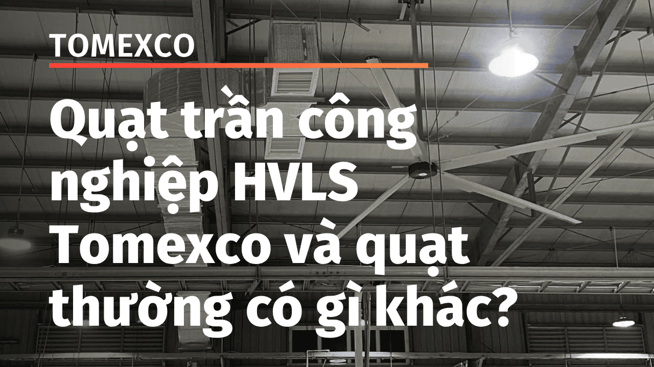 Quat Tran Cong Nghiep Hvls Tomexco Va Quat Thuong Co Gi Khac 1